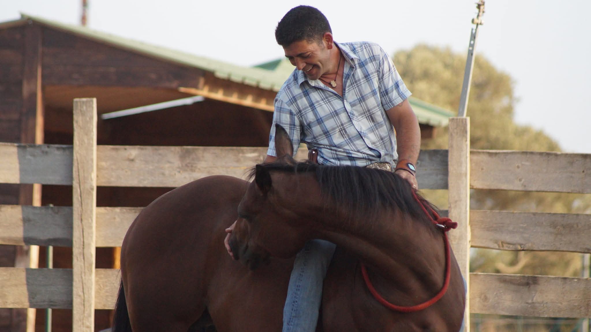 Progression dans le travail du cheval