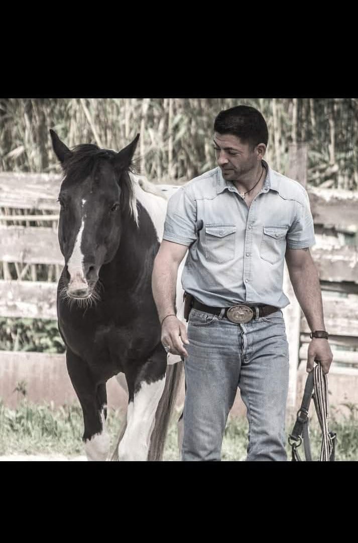 Travail basé sur la confiance avec le cheval
