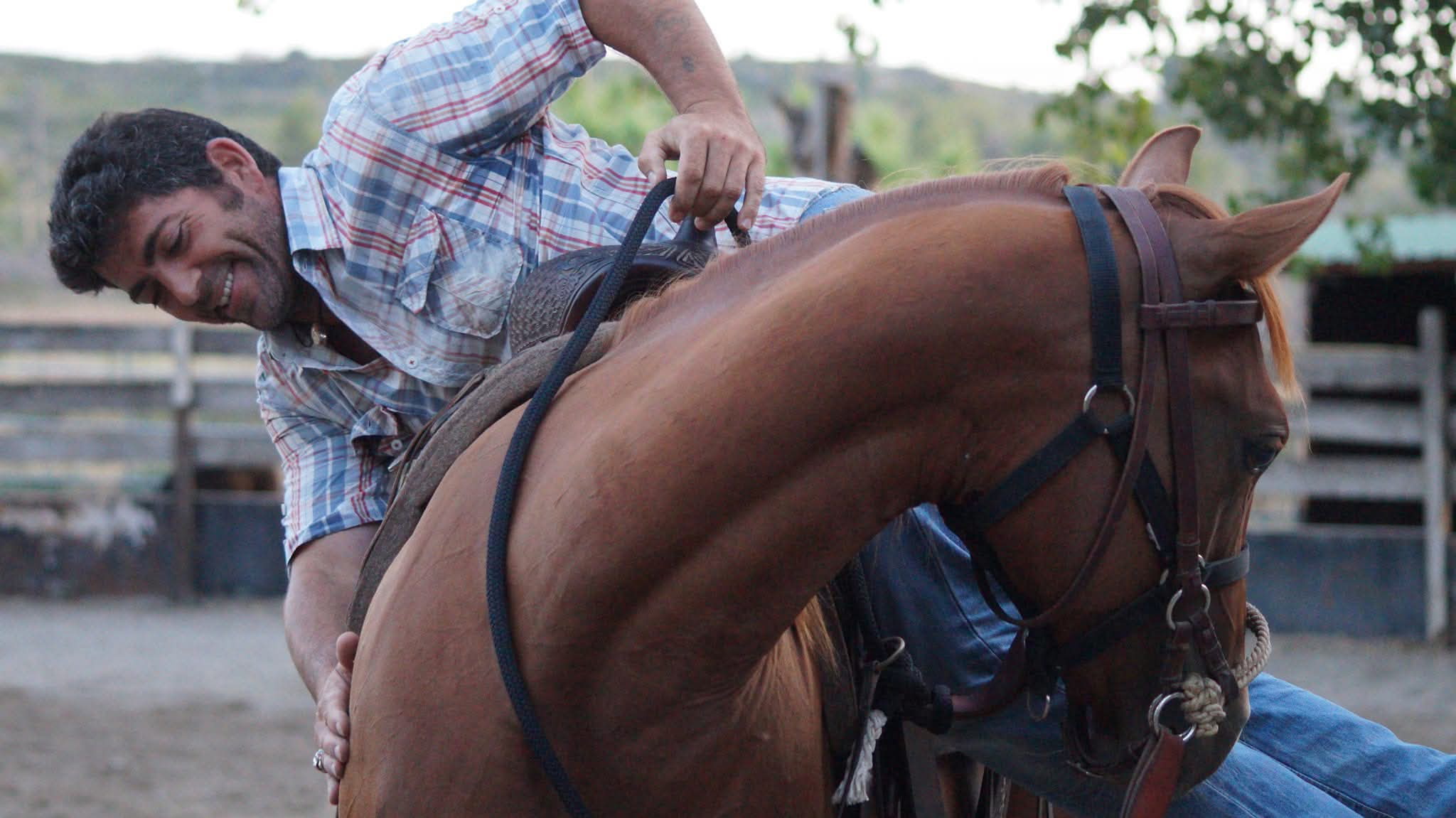 Débourrage et travail du cheval