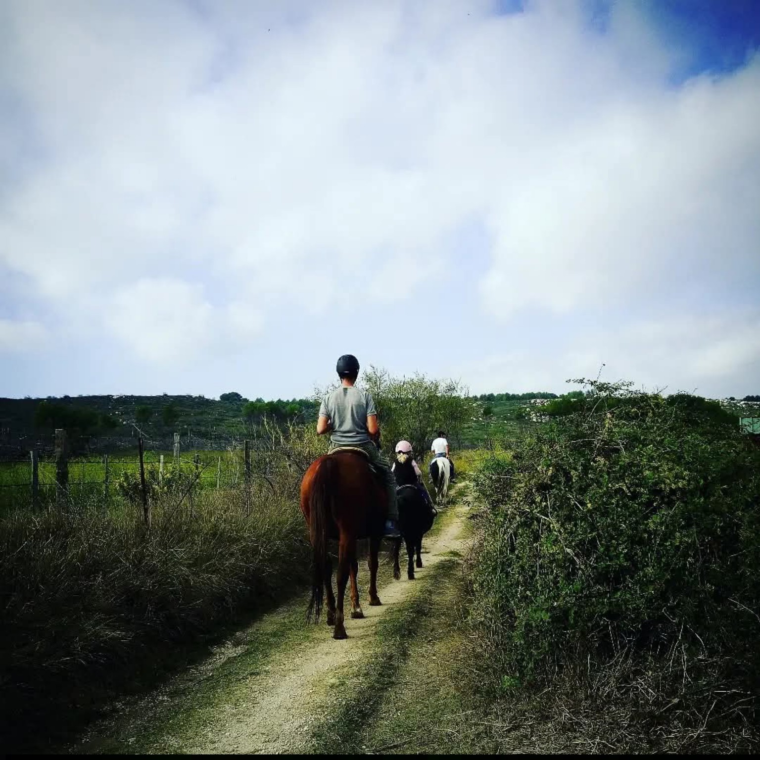 Balades à cheval