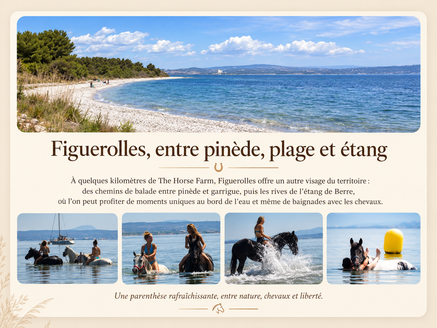 Figuerolles, entre plage et chevaux