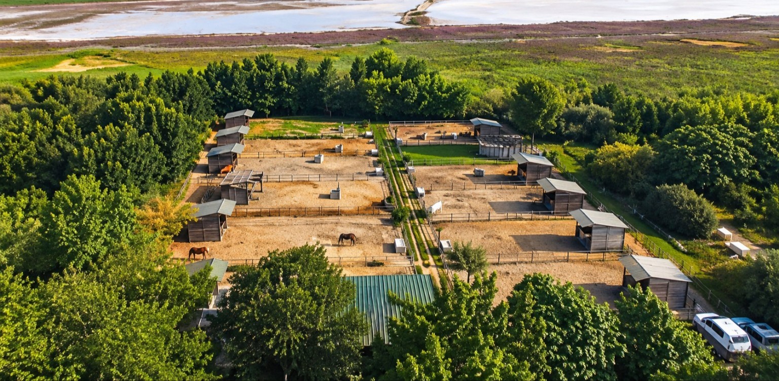 Paddocks de la pension